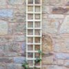 Heavy-Duty-Trellis-Panels-Dorchester-Weymouth-Dorset-6x1-Picture