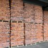 Birch Firewood 25cm Logs - 40ltr (5 Bags) - Image 3
